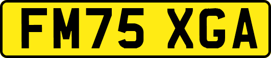 FM75XGA