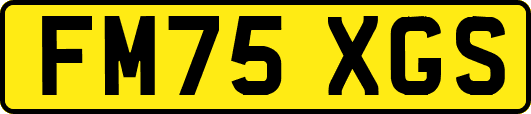 FM75XGS