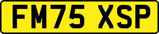 FM75XSP