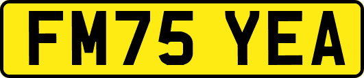 FM75YEA