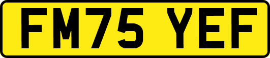 FM75YEF