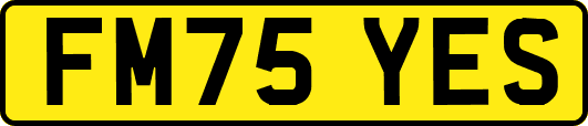 FM75YES