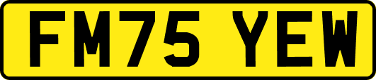 FM75YEW