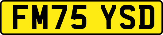 FM75YSD