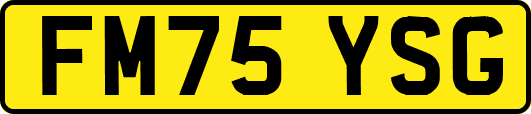 FM75YSG