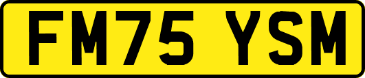 FM75YSM