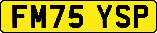 FM75YSP