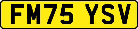 FM75YSV