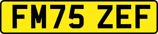 FM75ZEF