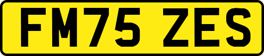FM75ZES