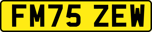 FM75ZEW
