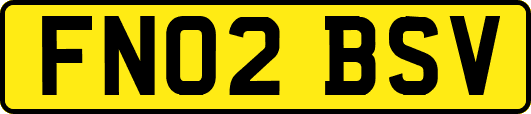 FN02BSV
