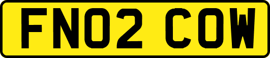 FN02COW