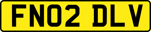 FN02DLV