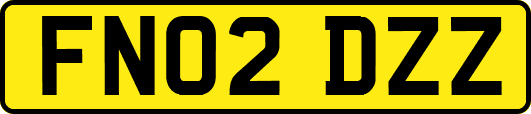 FN02DZZ