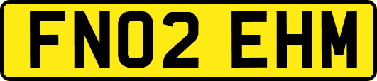 FN02EHM
