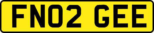 FN02GEE