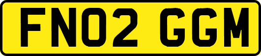 FN02GGM