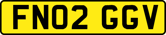 FN02GGV