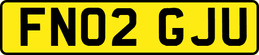 FN02GJU