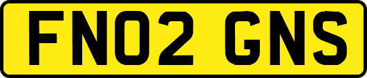 FN02GNS