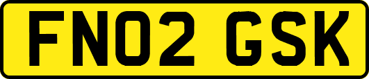 FN02GSK