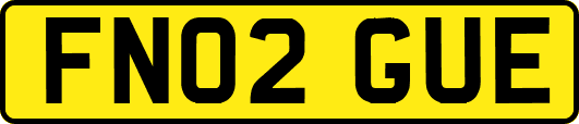 FN02GUE