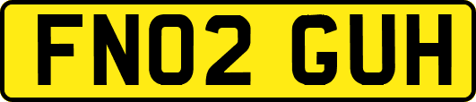 FN02GUH