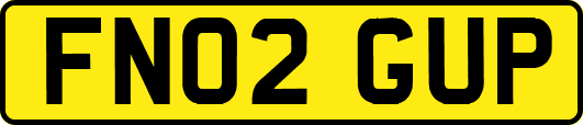 FN02GUP