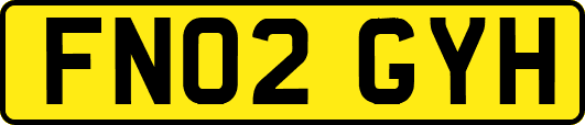 FN02GYH