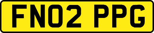 FN02PPG