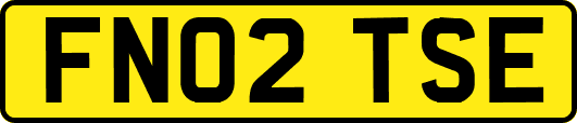FN02TSE
