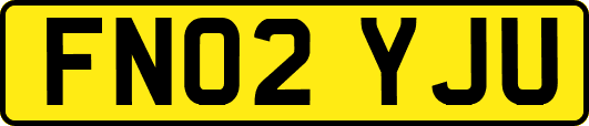 FN02YJU
