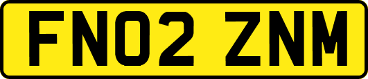 FN02ZNM