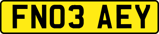 FN03AEY