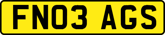 FN03AGS