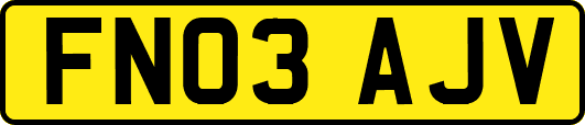 FN03AJV