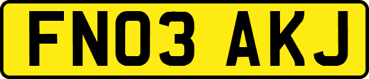 FN03AKJ