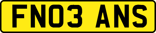 FN03ANS