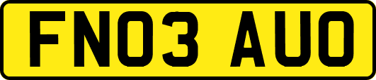 FN03AUO