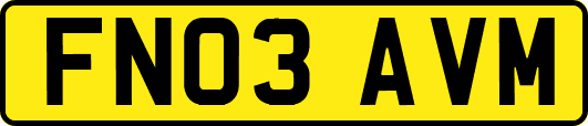 FN03AVM