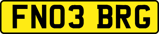 FN03BRG