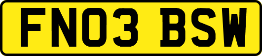 FN03BSW