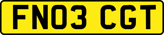 FN03CGT