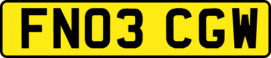 FN03CGW