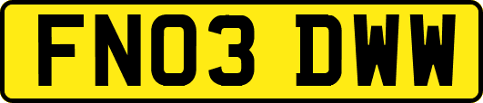 FN03DWW