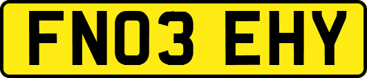 FN03EHY