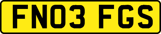 FN03FGS