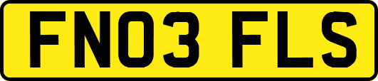 FN03FLS
