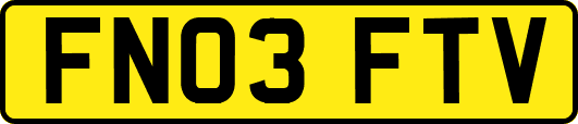 FN03FTV